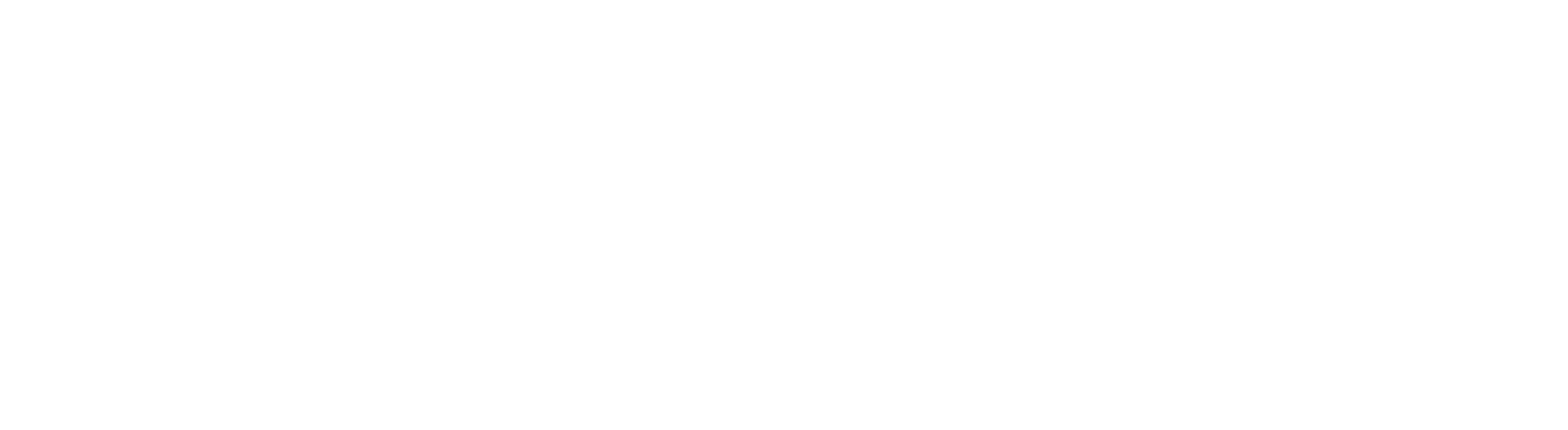 Rayab International Company Logo